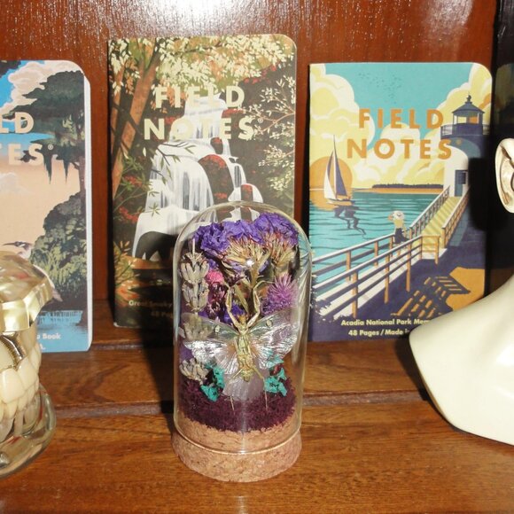 Praying Mantis Crystal & Flowers Oddity Jar insect taxidermy curiosity dome goth - Picture 9 of 15